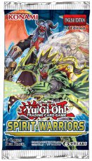 Spirit Warriors - 17-11-2017 (SPWA)