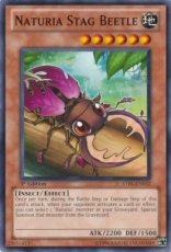 Naturia Stag Beetle - STBL-EN032 - 1st Edition