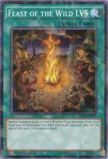 Feast of the Wild LV5 - SP15-EN041 - Shatterfoil Rare - 1st Edition