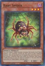Baby Spider - BLMR-EN045 - Ultra Rare 1st Edition Baby Spider - BLMR-EN045 - Ultra Rare 1st Edition