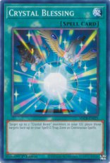 Crystal Blessing - SDCB-EN021 - Common 1st Edition