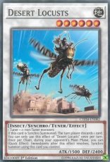 Desert Locusts  - CHIM-EN082 - Common 1st Edition Desert Locusts  - CHIM-EN082 - Common 1st Edition