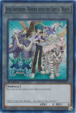 Jesse Anderson - Bonder with the Crystal Beasts - SDCB-EN047 - Super Rare Counter 1st Edition