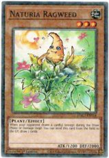 Naturia Ragweed - HAC1-EN114 - Duel Terminal Normal Parallel Rare 1st Edition