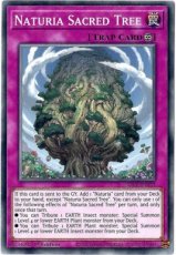 Naturia Sacred Tree - SDBT-EN037 - Common 1st Edition