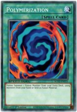 Polymerization - SGX1-ENG11 - Common 1st Edition