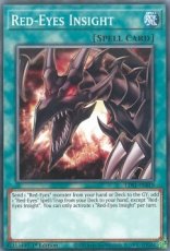Red-Eyes Insight - LDS1-EN019 - Common 1st Edition