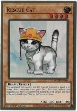 Rescue Cat - MGED-EN006 - Premium Gold Rare 1st Edition