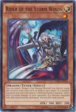 Rider of the Storm Winds - LDK2-ENK18 - Common Unlimited
