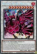 Ruddy Rose Dragon - LIOV-EN035 -  Secret Rare 1st Edition