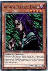Witch of the Black Forest - SDCK-EN024 - Common 1st Edition